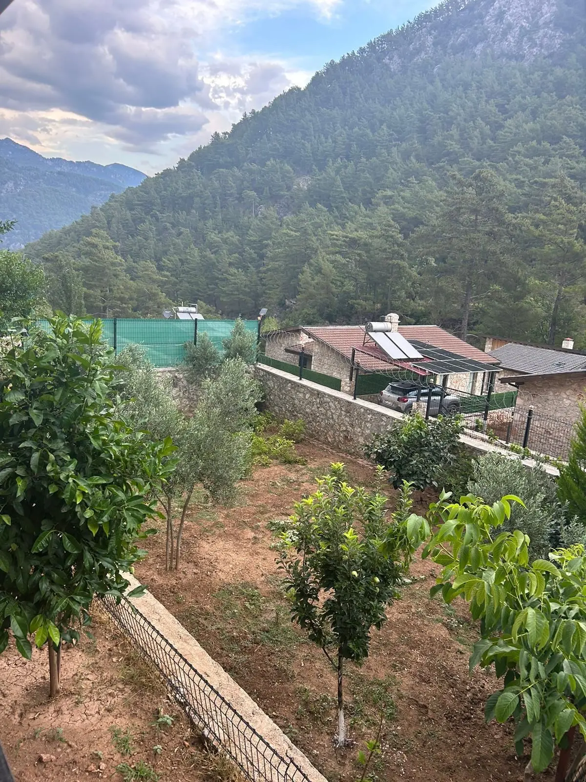 Kizilbel Uzumlu